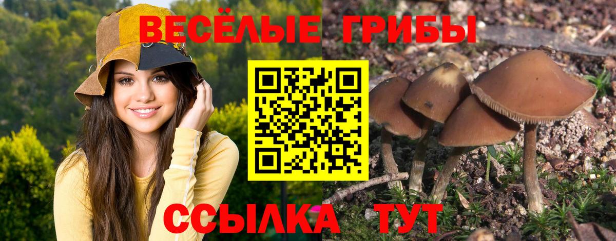 Кашира  Псилоцибиновые грибы мицелий  Вход с VPN  Галлюциногенные грибы Magic Shrooms 