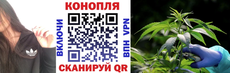 Бошки Шишки SATIVA & INDICA  Кашира 